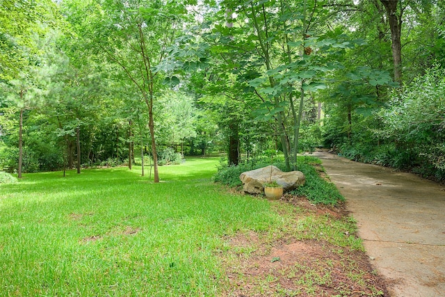 569 Spring Lake Dr, Shreveport, LA 71106
