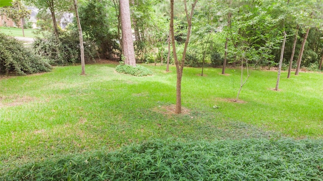 569 Spring Lake Dr, Shreveport, LA 71106