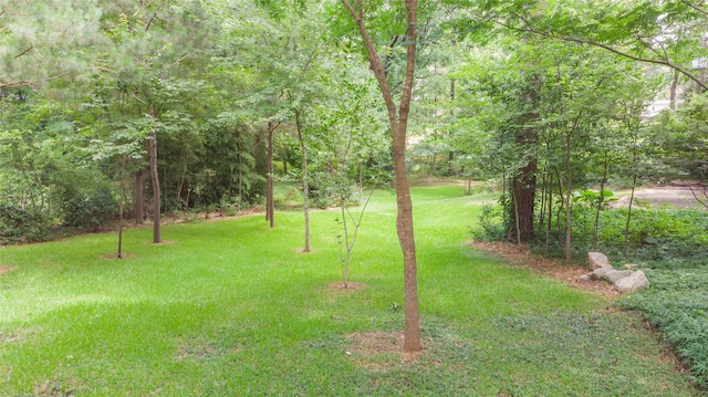 569 Spring Lake Dr, Shreveport, LA 71106