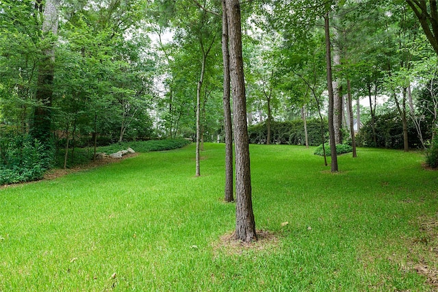 569 Spring Lake Dr, Shreveport, LA 71106