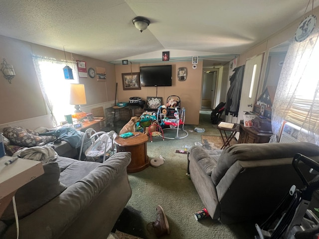 740 Ash St, Blossom, TX 75416 - living room with carpet floors and vaulted ceiling