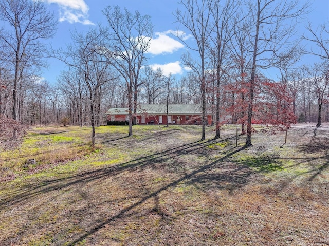 764 Vz County Road 1923, Fruitvale, TX 75127 - view of yard