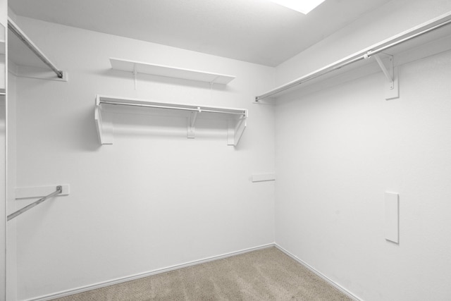 108 Bear Trl, Waxahachie, TX 75165 - spacious closet with carpet floors