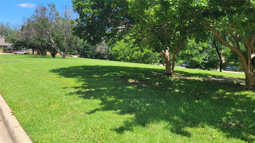 5021 Buttonwood Ln, Garland, TX 75043 - view of green lawn