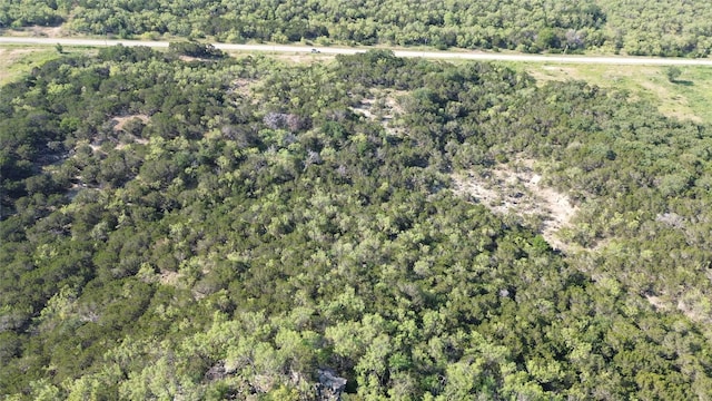 LOT194 Plesant Valley Rd, Mineral Wells, TX 75067