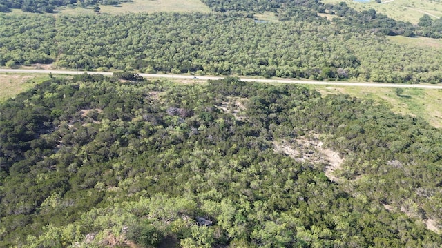 LOT194 Plesant Valley Rd, Mineral Wells, TX 75067