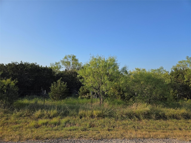 LOT194 Plesant Valley Rd, Mineral Wells, TX 75067