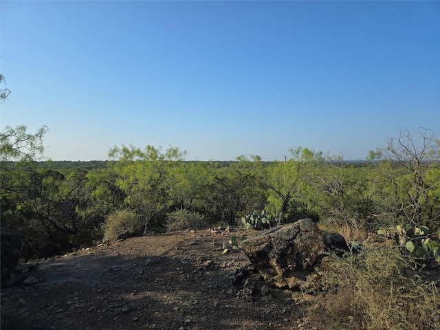 LOT194 Plesant Valley Rd, Mineral Wells, TX 75067