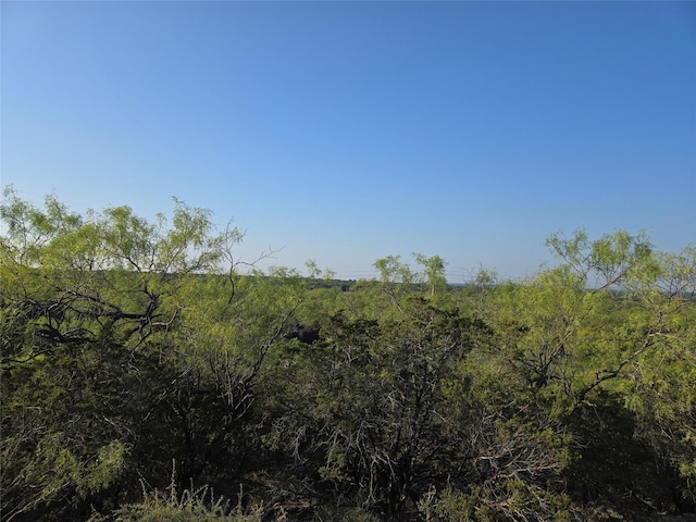 LOT194 Plesant Valley Rd, Mineral Wells, TX 75067