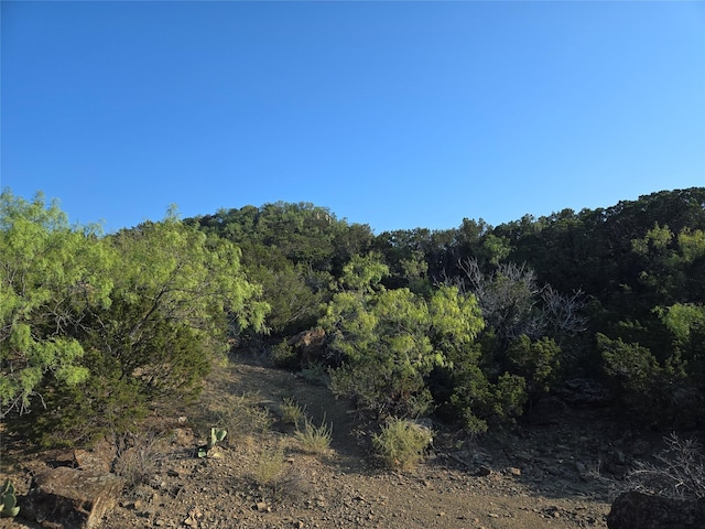 LOT194 Plesant Valley Rd, Mineral Wells, TX 75067