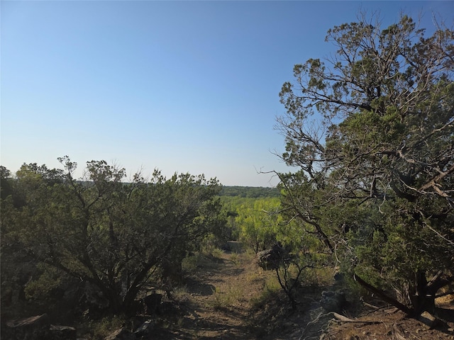LOT194 Plesant Valley Rd, Mineral Wells, TX 75067