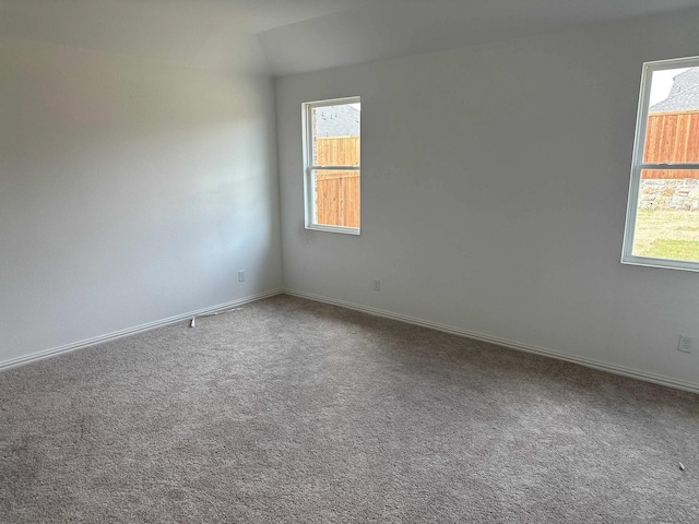 1916 Honey Creek Rd, Forney, TX 75126 - unfurnished room featuring plenty of natural light and carpet