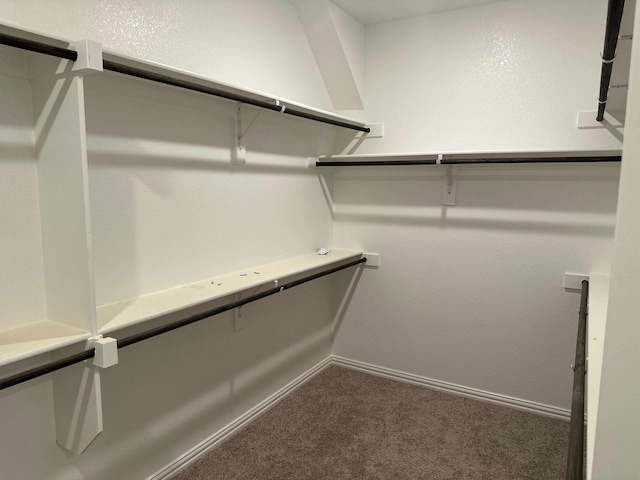 1916 Honey Creek Rd, Forney, TX 75126 - walk in closet featuring carpet
