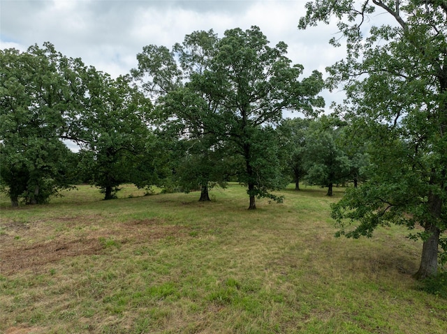 TBD County Road 2142, Bagwell, TX 75412