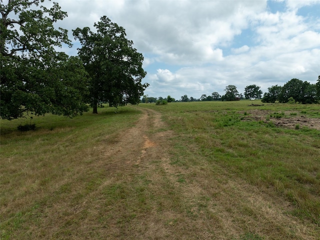 TBD County Road 2142, Bagwell, TX 75412