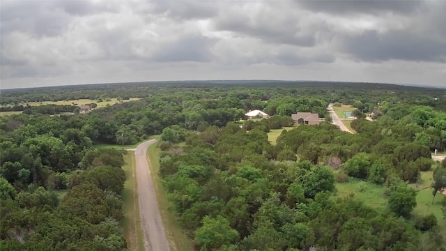 12146 Trailwood Dr, Whitney, TX 76692