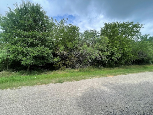 12146 Trailwood Dr, Whitney, TX 76692