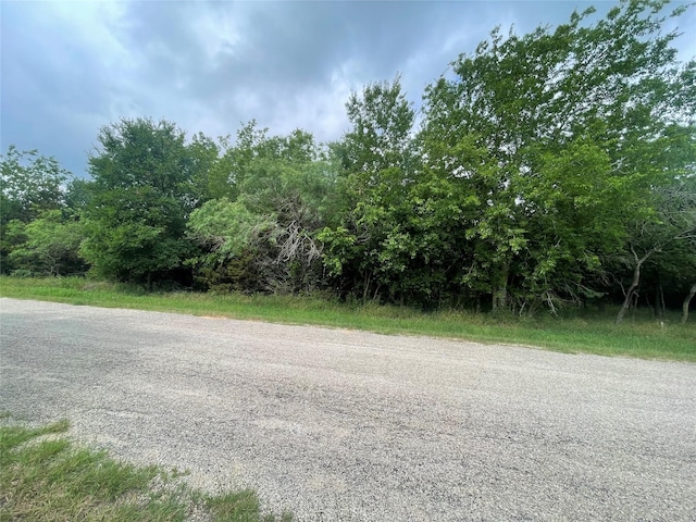 12146 Trailwood Dr, Whitney, TX 76692
