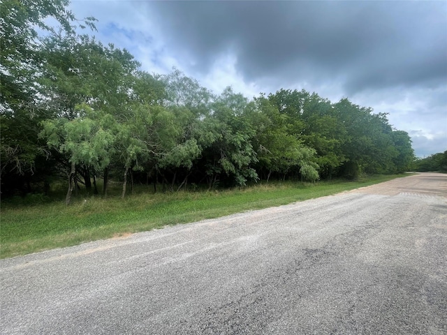 12146 Trailwood Dr, Whitney, TX 76692