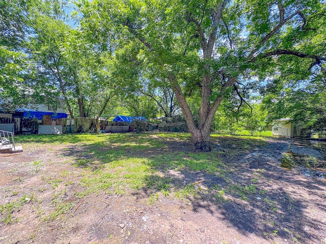408 S Throckmorton Ave, Kerens, TX 75144 - view of yard