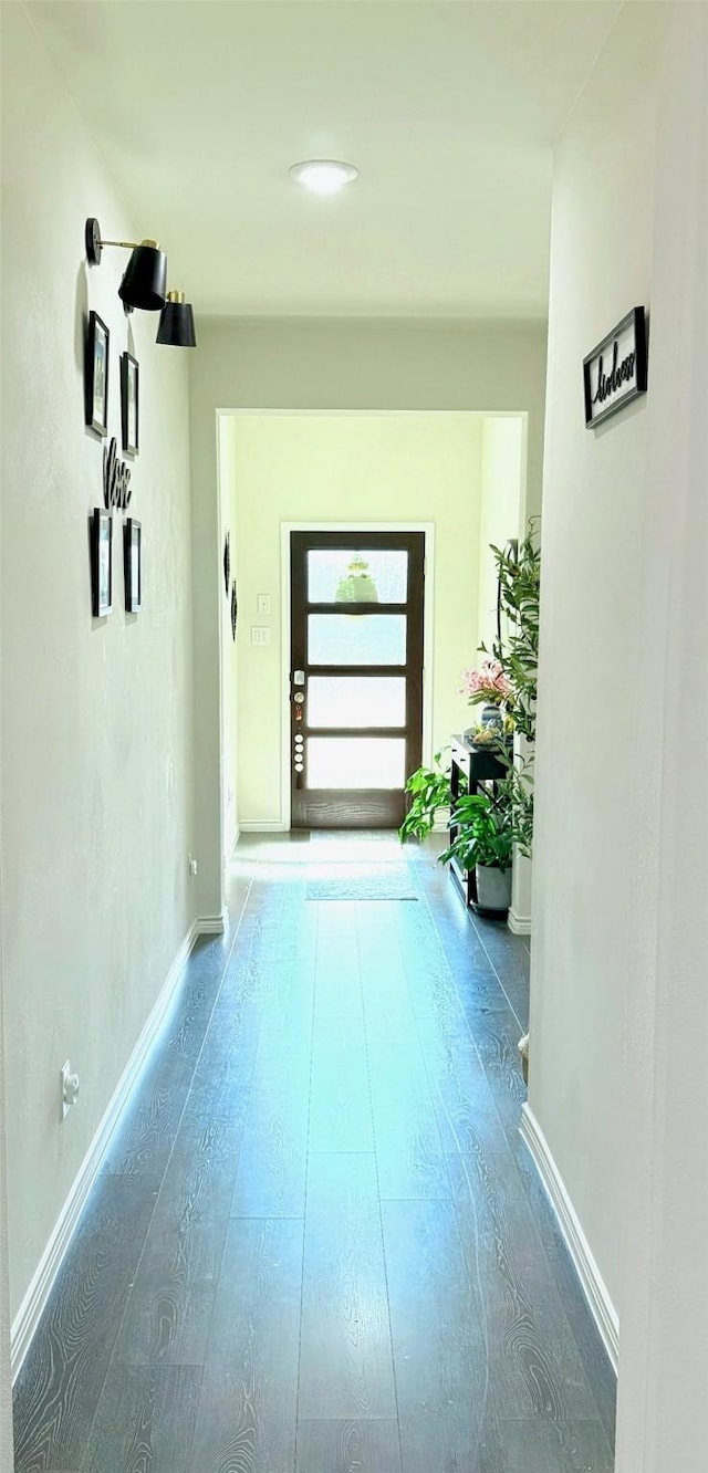 3316 Azure Ln, Celina, TX 75009 - hall featuring hardwood / wood-style floors and baseboards