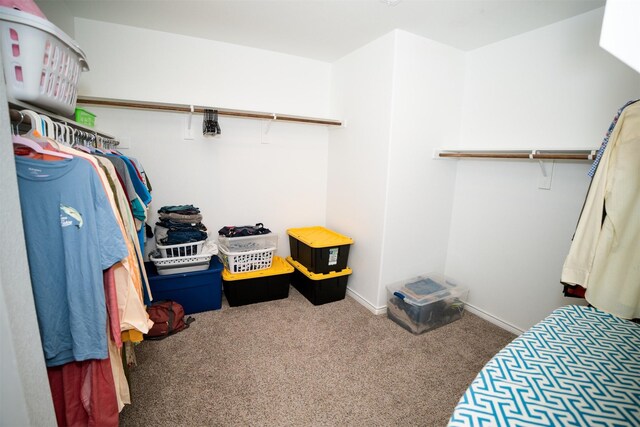 6428 Wales St, Celina, TX 76227 - spacious closet with carpet floors