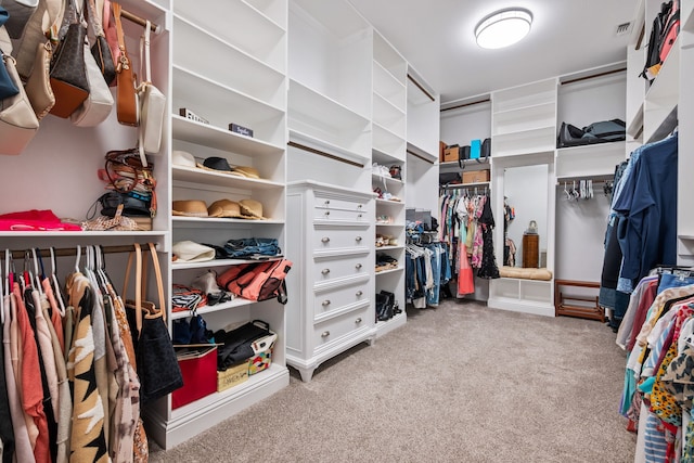 10107 Ravenswood Rd, Granbury, TX 76049 - spacious closet with carpet