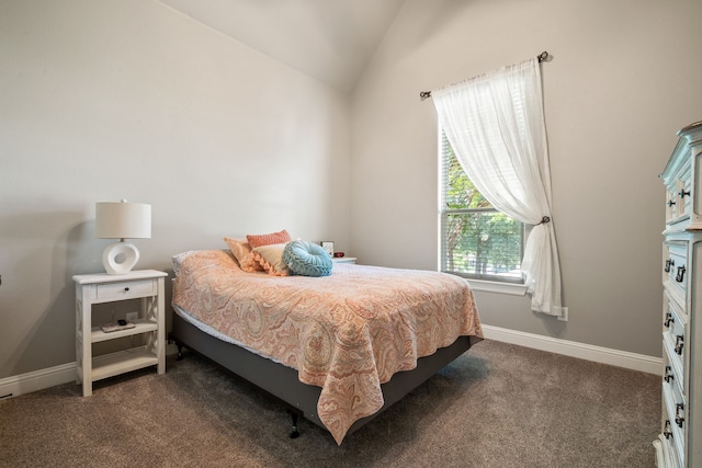 10107 Ravenswood Rd, Granbury, TX 76049 - bedroom featuring dark carpet and vaulted ceiling