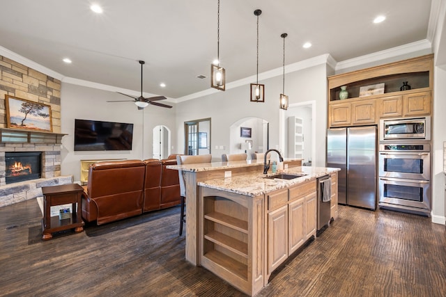 10107 Ravenswood Rd, Granbury, TX 76049 - kitchen with open shelves, appliances with stainless steel finishes, open floor plan, a stone fireplace, and crown molding