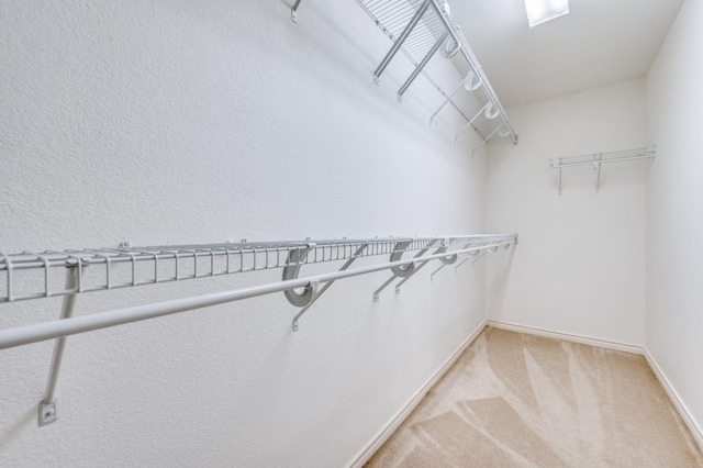 2601 Pinto Dr, Denton, TX 76210 - spacious closet featuring light carpet