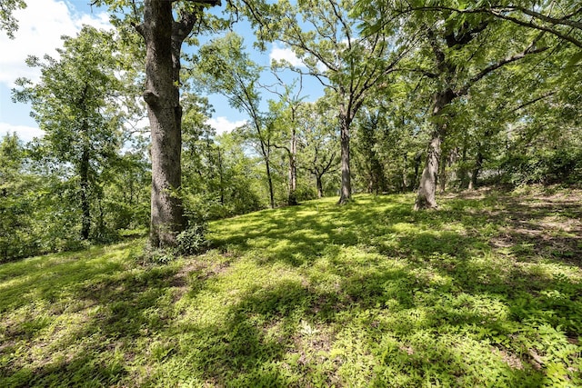 1719 W Day St, Denison, TX 75020 - view of woods