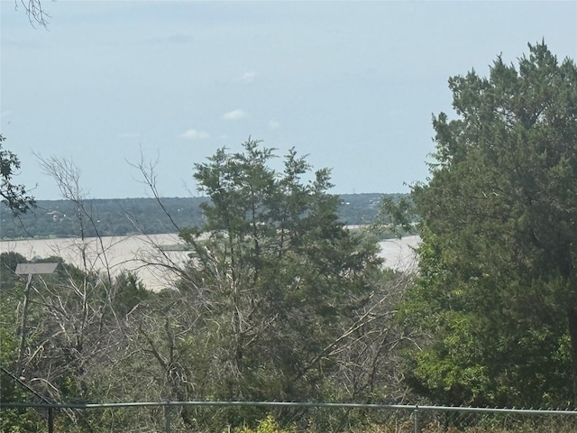 2810 N Mountain View Rd, Granbury, TX 76048 - water view