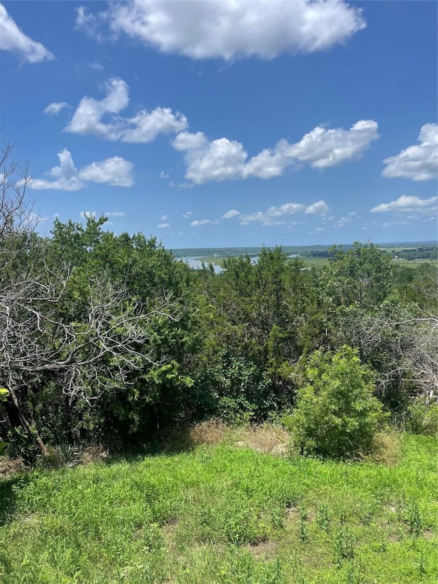 2810 N Mountain View Rd, Granbury, TX 76048 - view of undeveloped land