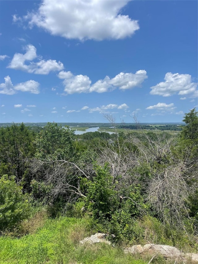 2810 N Mountain View Rd, Granbury, TX 76048 - view of local wilderness with a nearby body of water