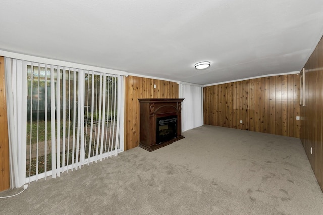 6225 Franwood Ter, Fort Worth, TX 76112 - unfurnished living room with carpet, wooden walls, and a fireplace