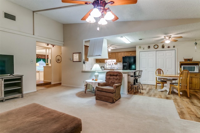 5312 Vermillion Trl, Arlington, TX 76017 - living room with ceiling fan, lofted ceiling, light carpet, and light wood-type flooring