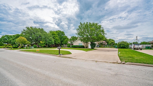 111 Scenic Dr, Dublin, TX 76446 - view of property hidden behind natural elements featuring a front lawn and curved driveway