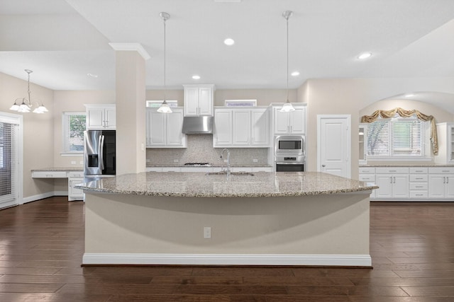 421 Fenceline Dr, Argyle, TX 76226 - kitchen featuring under cabinet range hood, stainless steel appliances, healthy amount of natural light, dark wood finished floors, and recessed lighting