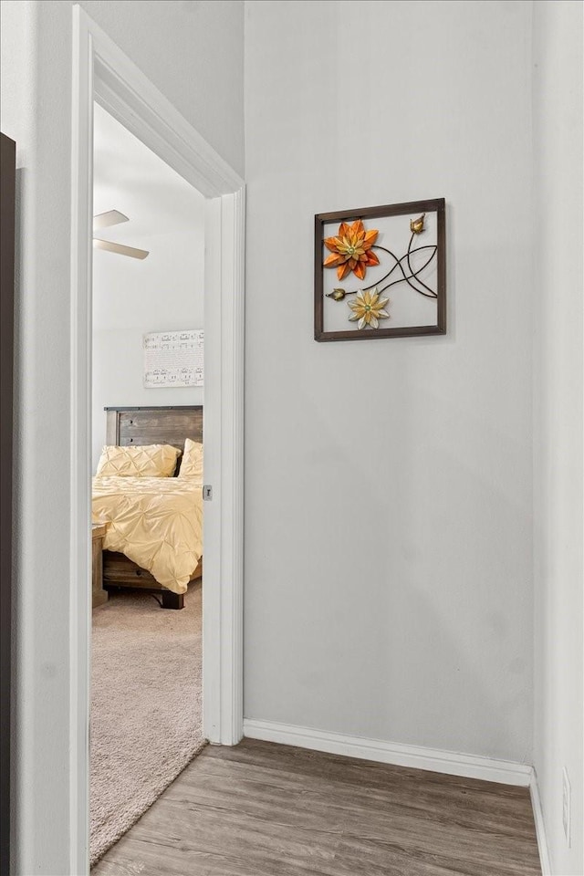 7118 Pampas Pl, Grand Prairie, TX 76804 - hallway with wood finished floors and baseboards
