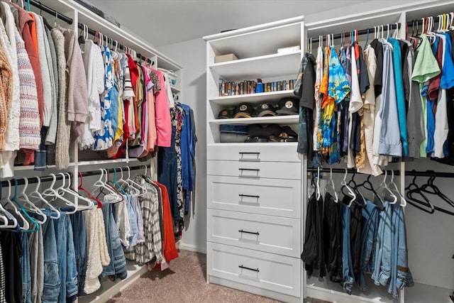 7118 Pampas Pl, Grand Prairie, TX 76804 - walk in closet featuring carpet floors
