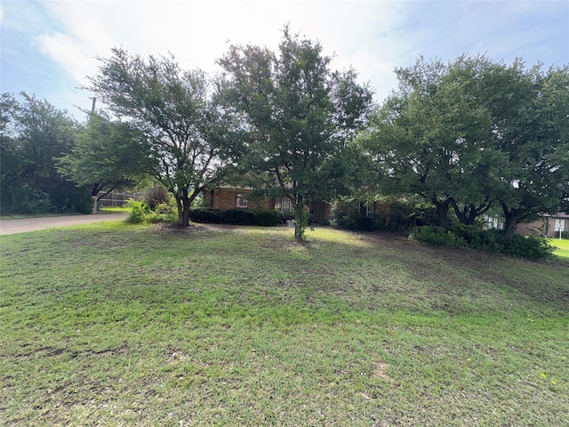 2720 Dorothy Dr, Keene, TX 76031 - view of green lawn