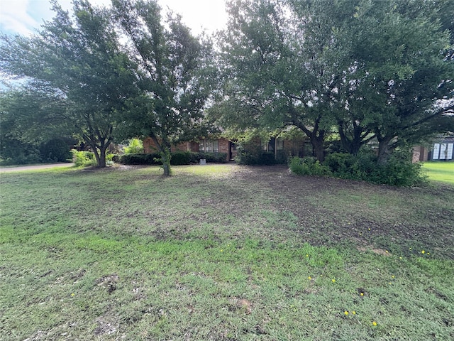 2720 Dorothy Dr, Keene, TX 76031 - view of grassy yard
