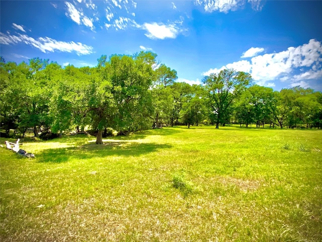 TBD-TRACT1 Fm 147, Marlin, TX 76661