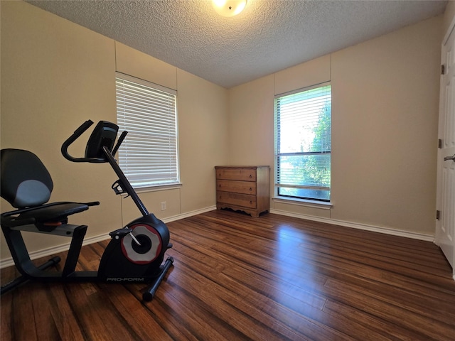 170 N Meadowbrook Dr, Pottsboro, TX 75076 - exercise room with wood finished floors and a textured ceiling