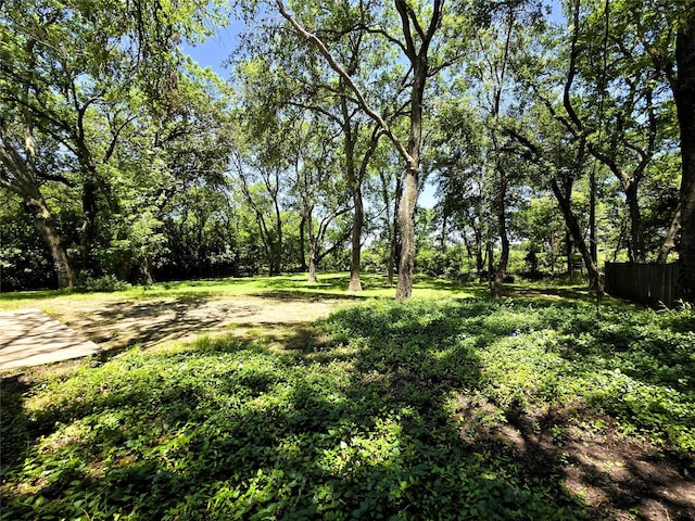 170 N Meadowbrook Dr, Pottsboro, TX 75076 - view of yard