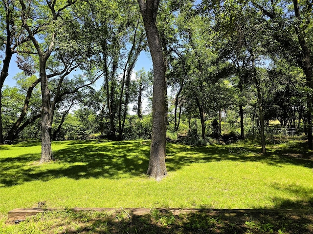 170 N Meadowbrook Dr, Pottsboro, TX 75076 - view of green lawn