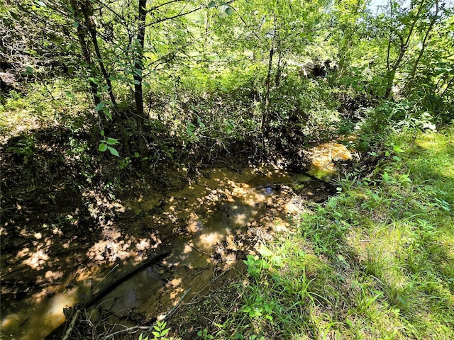 170 N Meadowbrook Dr, Pottsboro, TX 75076 - view of local wilderness