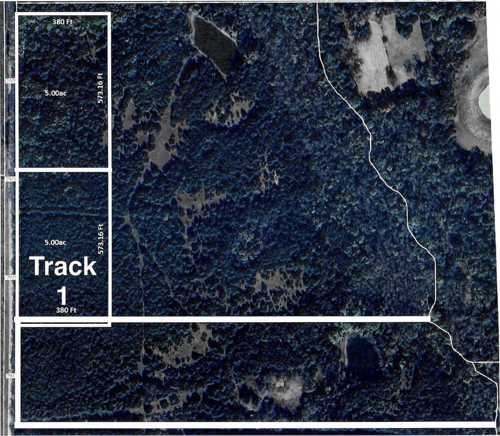 TBD Cr 2975, Dodd City, TX 75446