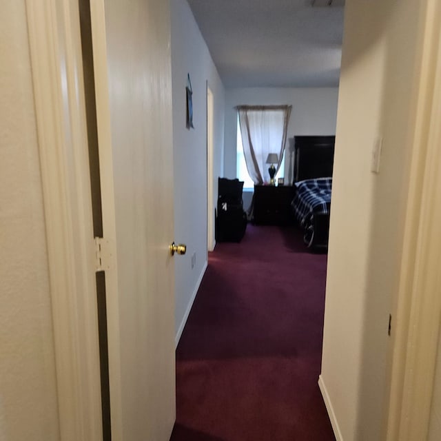 1026 Mazourka Dr, Arlington, TX 76001 - hall with carpet flooring and baseboards