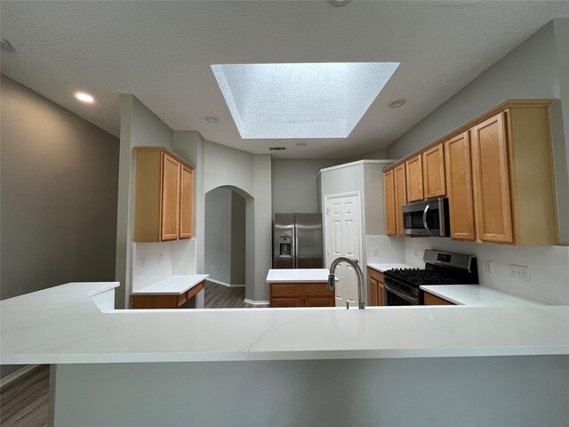 4400 Ripplewood Rd, Frisco, TX 75035 - kitchen with appliances with stainless steel finishes, a skylight, dark wood-style floors, light countertops, and arched walkways